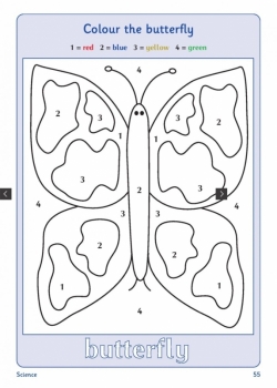 Colour the Butterfly.jpg