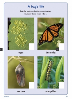 A Bug's Life.jpg