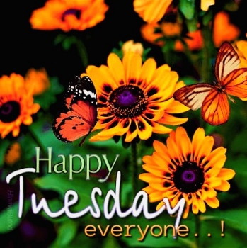 happy-tuesday-1.jpg