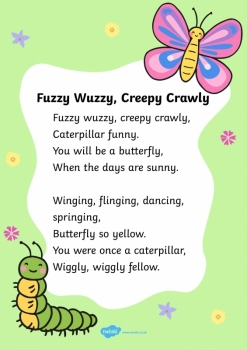 fuzzy wuzzy creepy crawly.jpg